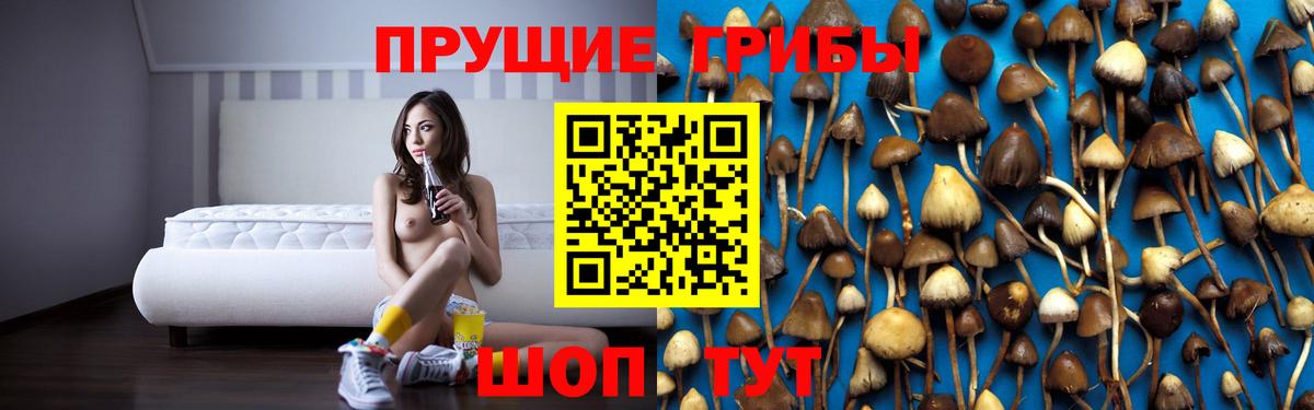 Псилоцибиновые грибы прущие грибы  Вход с VPN  Сафоново 